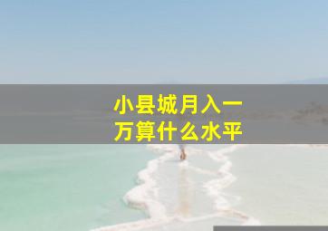 小县城月入一万算什么水平