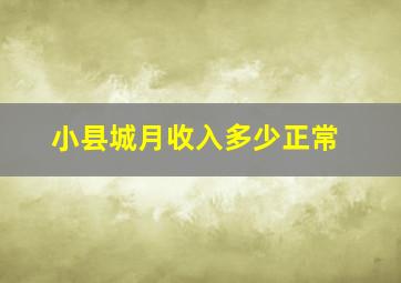 小县城月收入多少正常