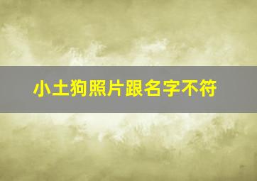 小土狗照片跟名字不符