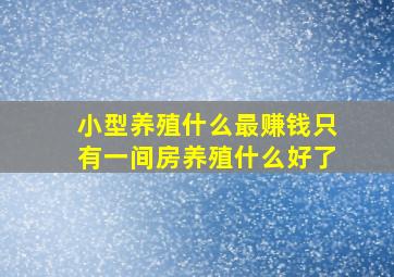 小型养殖什么最赚钱只有一间房养殖什么好了