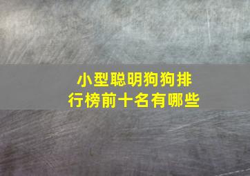 小型聪明狗狗排行榜前十名有哪些