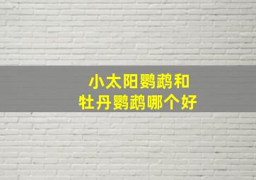 小太阳鹦鹉和牡丹鹦鹉哪个好