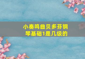 小奏鸣曲贝多芬钢琴基础1是几级的