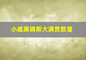 小威廉姆斯大满贯数量