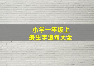 小学一年级上册生字造句大全