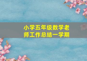 小学五年级数学老师工作总结一学期