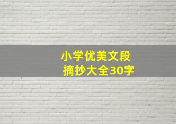 小学优美文段摘抄大全30字