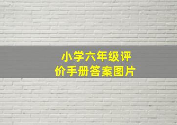 小学六年级评价手册答案图片