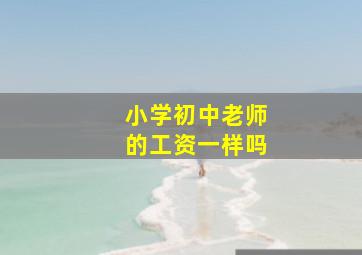 小学初中老师的工资一样吗