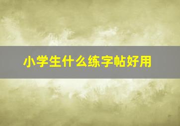 小学生什么练字帖好用