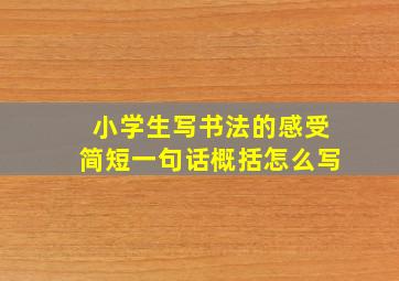 小学生写书法的感受简短一句话概括怎么写