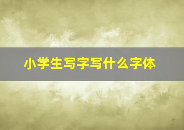 小学生写字写什么字体