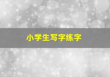 小学生写字练字