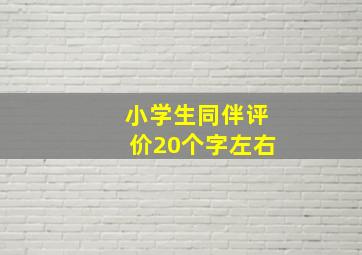 小学生同伴评价20个字左右