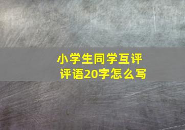 小学生同学互评评语20字怎么写