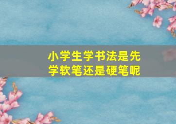 小学生学书法是先学软笔还是硬笔呢