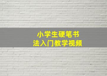 小学生硬笔书法入门教学视频