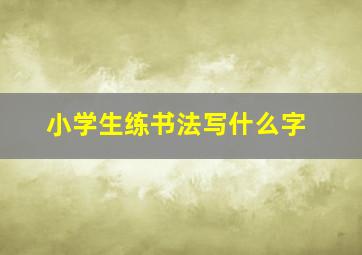 小学生练书法写什么字