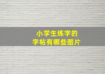 小学生练字的字帖有哪些图片