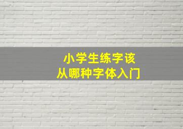 小学生练字该从哪种字体入门