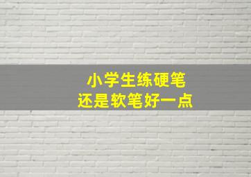 小学生练硬笔还是软笔好一点