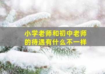 小学老师和初中老师的待遇有什么不一样