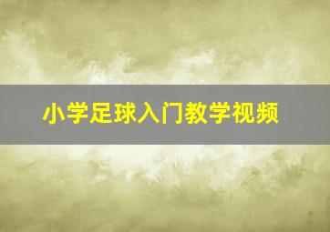 小学足球入门教学视频