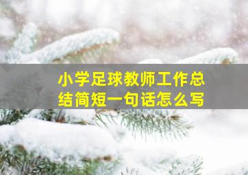 小学足球教师工作总结简短一句话怎么写