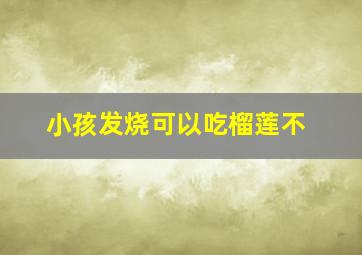 小孩发烧可以吃榴莲不