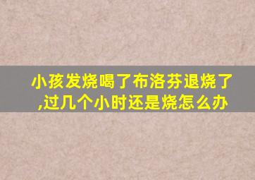 小孩发烧喝了布洛芬退烧了,过几个小时还是烧怎么办