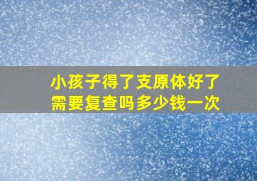 小孩子得了支原体好了需要复查吗多少钱一次