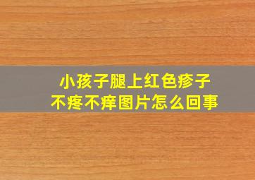 小孩子腿上红色疹子不疼不痒图片怎么回事