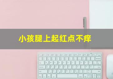 小孩腿上起红点不痒