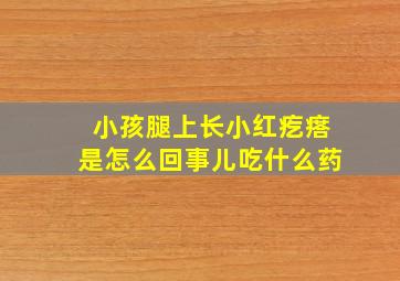 小孩腿上长小红疙瘩是怎么回事儿吃什么药