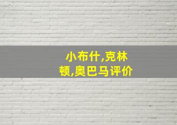 小布什,克林顿,奥巴马评价