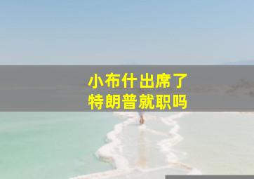 小布什出席了特朗普就职吗