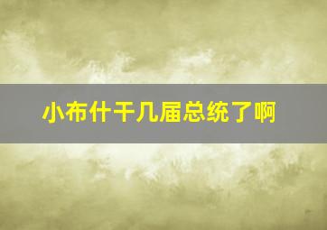 小布什干几届总统了啊