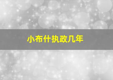 小布什执政几年