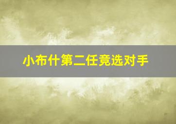 小布什第二任竞选对手