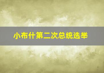 小布什第二次总统选举