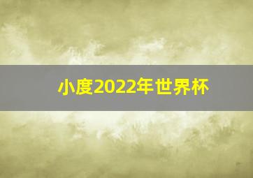 小度2022年世界杯