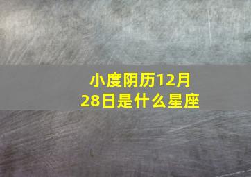 小度阴历12月28日是什么星座