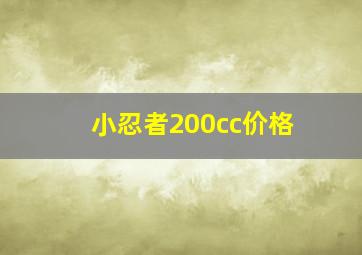 小忍者200cc价格