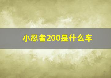 小忍者200是什么车