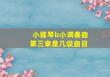 小提琴b小调奏曲第三章是几级曲目