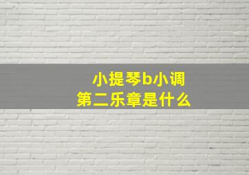 小提琴b小调第二乐章是什么