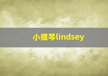 小提琴lindsey