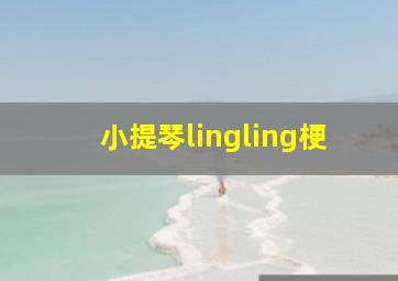 小提琴lingling梗