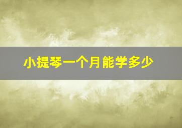 小提琴一个月能学多少