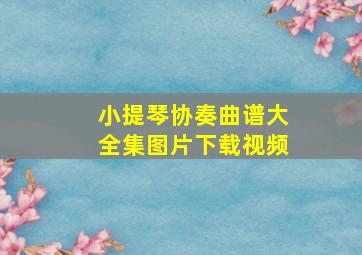 小提琴协奏曲谱大全集图片下载视频